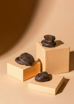 Aprikosen In Zartbitterschokolade 500 G -CEREALS HOUSE Geschaft APRIK 005 02LMxtzJxvDBmp5