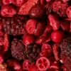 Gefriergetrockneter Beeren Mix 350 G -CEREALS HOUSE Geschaft BEERE 001 03