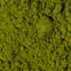 Bio Chlorella Pulver 1 Kg
