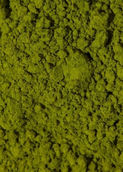 Bio Chlorella Pulver 1 Kg