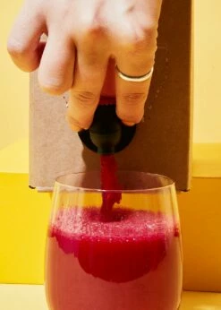 Bio Gemüsesaft Bag-in-Box 3 L -CEREALS HOUSE Geschaft BIO Gemusesaft 3l 06