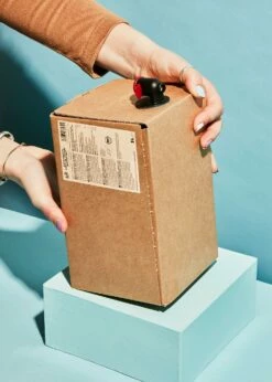 Bio Schwarze Karotte-Orange-Ingwer-Saft Bag-in-Box 3 L -CEREALS HOUSE Geschaft BIO Schwarze Karotte Orange Ingwer Saft 03