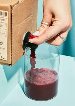 Bio Schwarze Karotte-Orange-Ingwer-Saft Bag-in-Box 3 L -CEREALS HOUSE Geschaft BIO Schwarze Karotte Orange Ingwer Saft 05