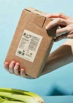 Bio Staudenselleriesaft Mit Zitrone Bag-in-Box 3 L -CEREALS HOUSE Geschaft BIO Staudenselleriesaft 02