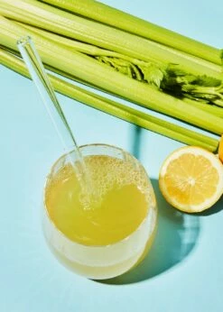 Bio Staudenselleriesaft Mit Zitrone Bag-in-Box 3 L -CEREALS HOUSE Geschaft BIO Staudenselleriesaft 06