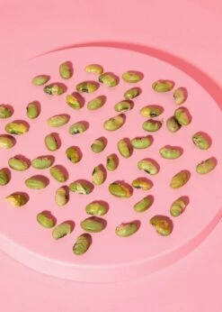 Geröstete Und Gesalzene Edamame Bohnen 750 G -CEREALS HOUSE Geschaft BOHNE 005 04ITI1OnbYEFtbI