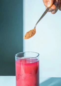 Bio Camu Camu Pulver 500 G -CEREALS HOUSE Geschaft CAMU 001 04