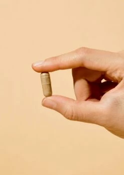 Natürliches Eisen + Vitamin C Aus Curryblatt Und Hagebutte Kapseln 180 Stück -CEREALS HOUSE Geschaft CAP 001 CREATIVE1 MD