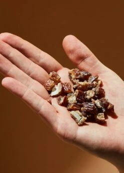 Gehackte Bio Datteln 1 Kg -CEREALS HOUSE Geschaft DATT 034 04