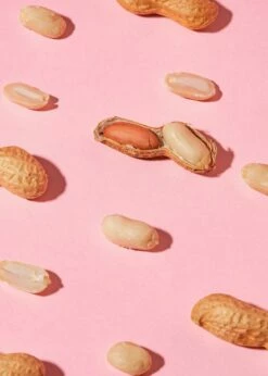 Blanchierte Erdnusskerne 1 Kg -CEREALS HOUSE Geschaft ERDNUSS 002 04f5XBVoYezpRMw