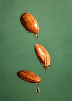 Gebrannte Mandeln 1 Kg -CEREALS HOUSE Geschaft GEB 002 03