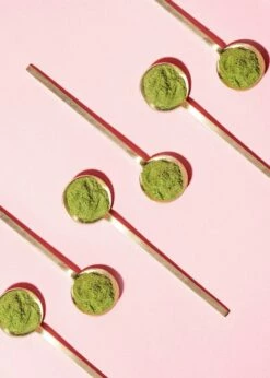 Bio Gerstengras Pulver 500 G -CEREALS HOUSE Geschaft GERGR 001 03t9k6oerrpqRFk