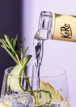 Dry Gin Mit Koriander Und Rosmarin 0,7 L