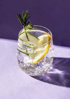 Dry Gin Mit Koriander Und Rosmarin 0,7 L -CEREALS HOUSE Geschaft GIN 001 05