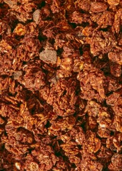 Bio Schoko Granola 1 Kg