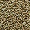 Ungeschälte Bio Hanfsamen 1 Kg 1 Ungeschälte Bio Hanfsamen 1 Kg -CEREALS HOUSE Geschaft HANF 001 03