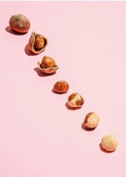 Leicht Geröstete Und Blanchierte Haselnusskerne 1 Kg -CEREALS HOUSE Geschaft HASELN 002 RE 01