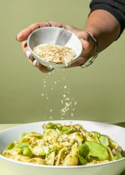 Hefeflocken 500 G 8 Hefeflocken 500 G -CEREALS HOUSE Geschaft HEFE 001 03Fk4opI3FFEvwm