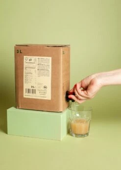 Bio Ingwersaft Bag-in-Box 3 L -CEREALS HOUSE Geschaft ING 008 04Y8twKZhVxhCTB