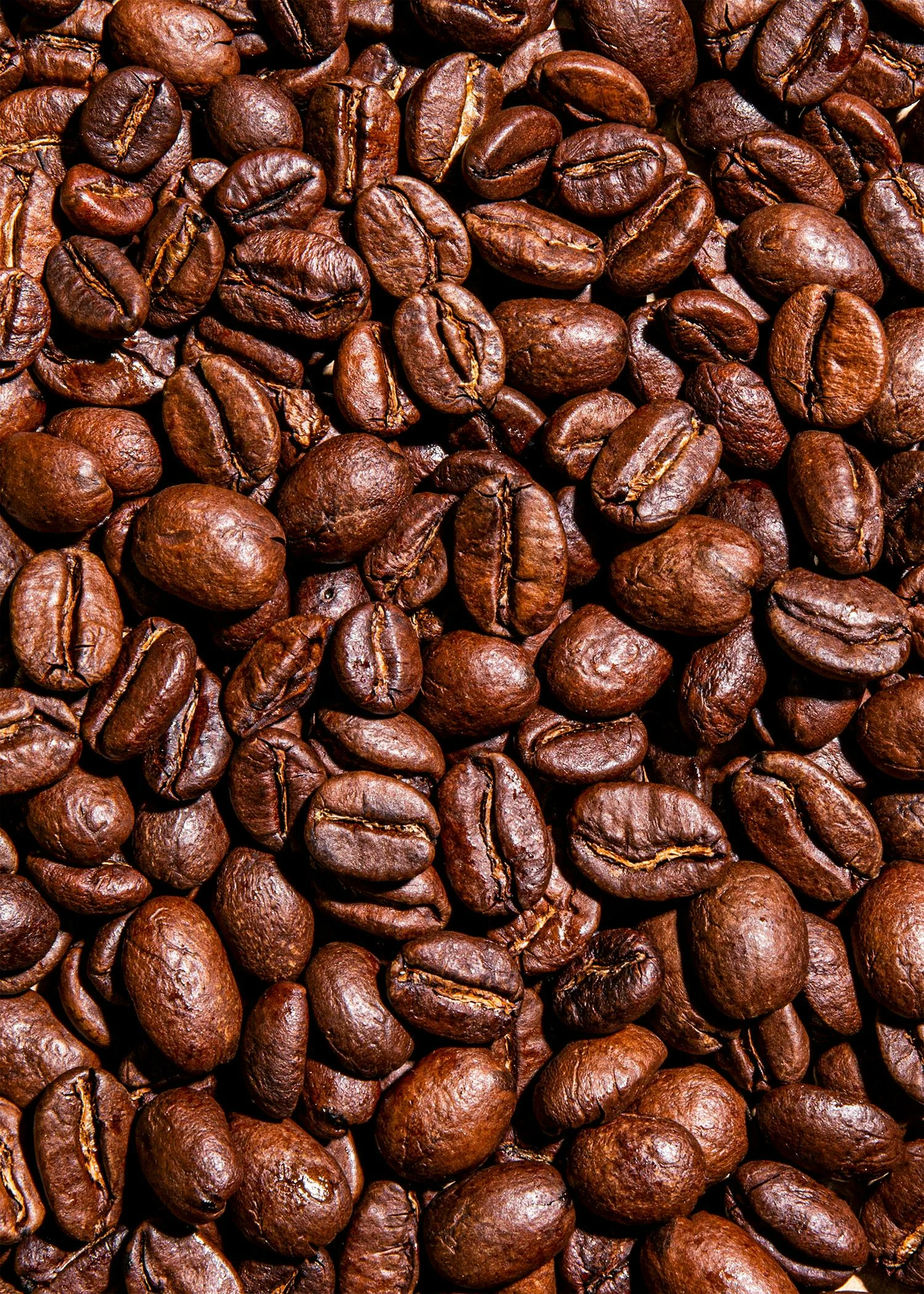 Bio Kaffee Crema Ganze Bohne 1 Kg 3 Bio Kaffee Crema Ganze Bohne 1 Kg