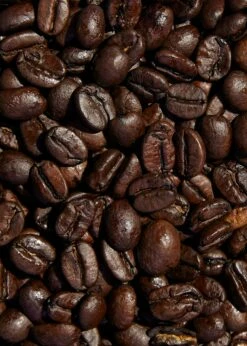 Bio Espresso Ganze Bohne 1 Kg