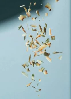 Geröstete Bio Kokoschips 1 Kg 8 Geröstete Bio Kokoschips 1 Kg -CEREALS HOUSE Geschaft KOKOS 015 02zvzAs6ILEFXoA