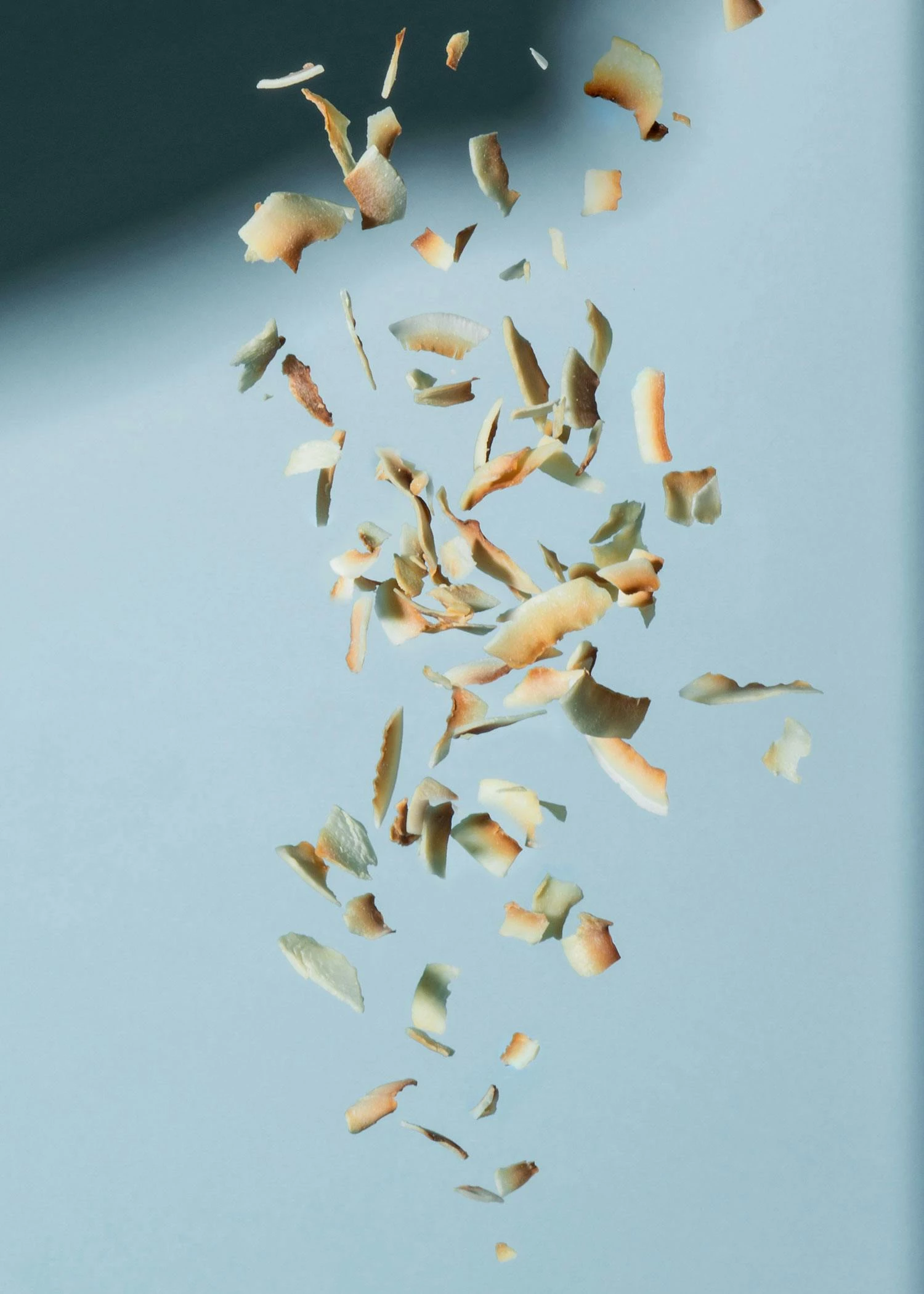 Geröstete Bio Kokoschips 1 Kg 5 Geröstete Bio Kokoschips 1 Kg – Bild 3