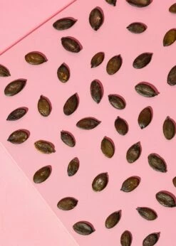 Kürbiskerne Aus Der Steiermark 1 Kg 9 Kürbiskerne Aus Der Steiermark 1 Kg -CEREALS HOUSE Geschaft KUERBIS 003 02cQIonLGYE8Iuf