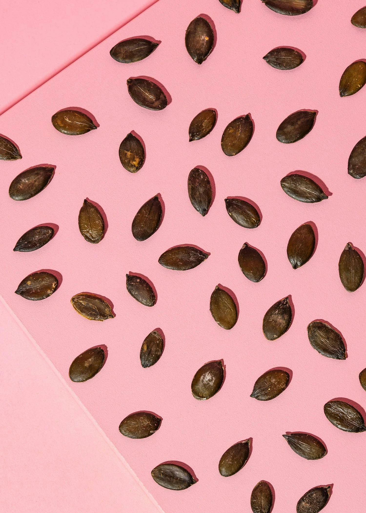 Kürbiskerne Aus Der Steiermark 1 Kg 5 Kürbiskerne Aus Der Steiermark 1 Kg – Bild 3