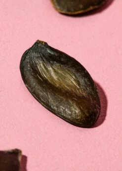 Kürbiskerne Aus Der Steiermark 1 Kg