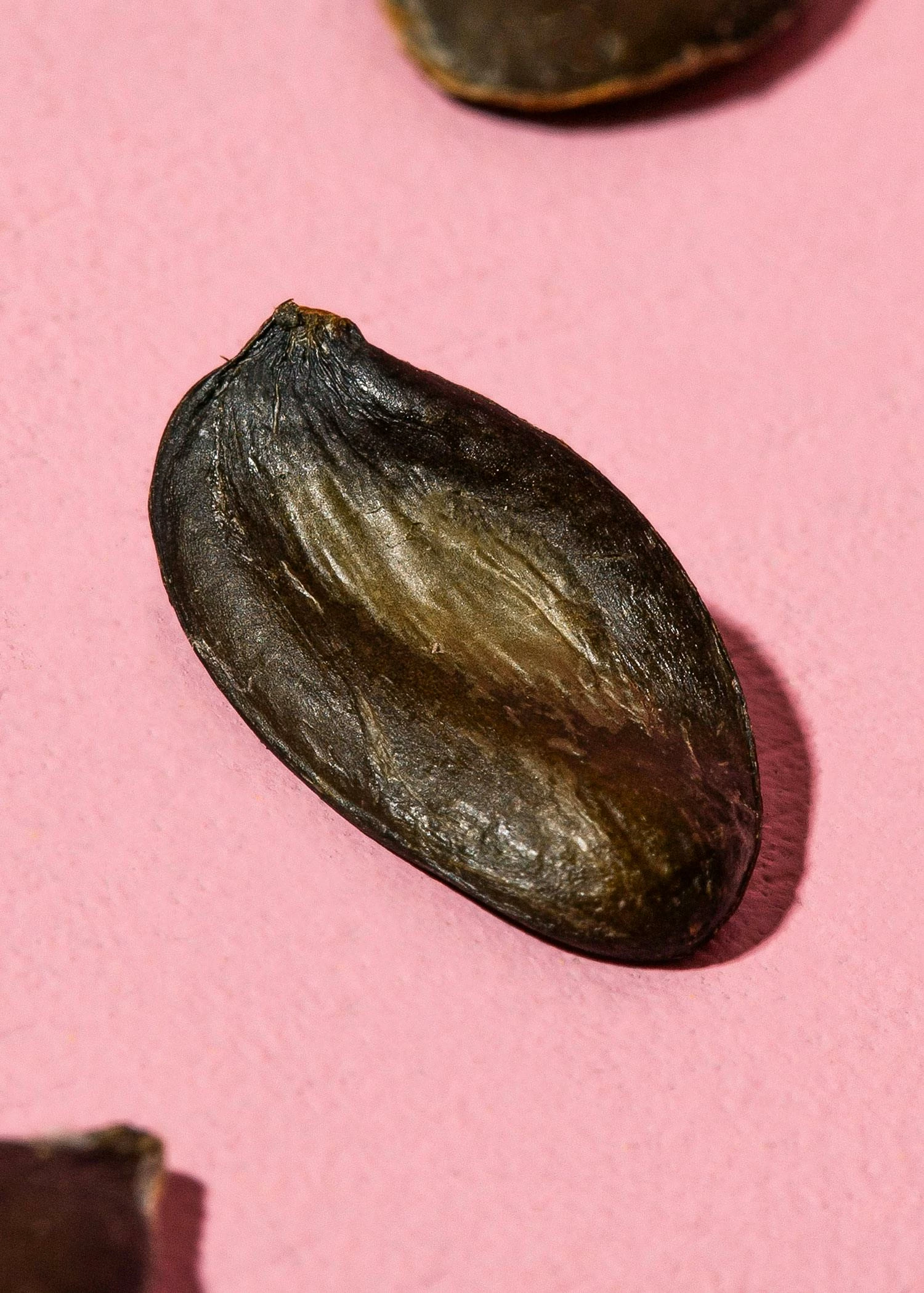 Kürbiskerne Aus Der Steiermark 1 Kg 3 Kürbiskerne Aus Der Steiermark 1 Kg