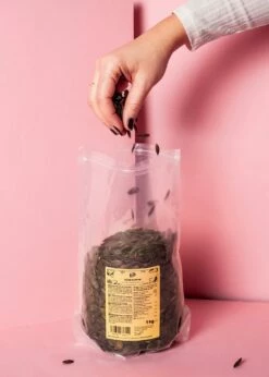 Kürbiskerne Aus Der Steiermark 1 Kg 11 Kürbiskerne Aus Der Steiermark 1 Kg -CEREALS HOUSE Geschaft KUERBIS 003 04HQuOybHbXezOt