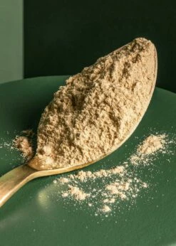Bio Maca Pulver 500 G