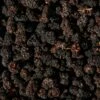Schwarze Bio Maulbeeren 1 Kg -CEREALS HOUSE Geschaft MAULB 003 MACRO MD