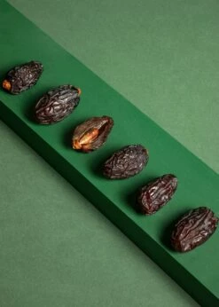 Medjool Datteln Premium Large Mit Stein, Medjool Plus 5 Kg -CEREALS HOUSE Geschaft MEDJO 003 03