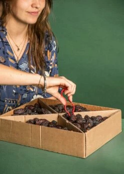 Medjool Datteln Premium Large Mit Stein, Medjool Plus 5 Kg -CEREALS HOUSE Geschaft MEDJO 003 05