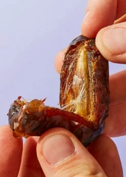 Medjool Bio Datteln Jumbo Choice Mit Stein, KoRo 1 Kg -CEREALS HOUSE Geschaft MEDJO 021 05