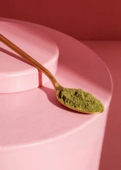 Bio Moringa Pulver 500 G