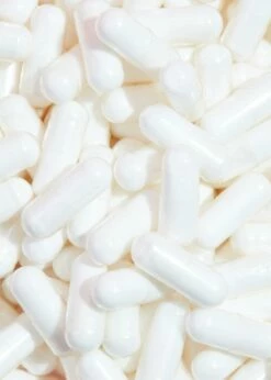 MSM Kapseln 365 Stück