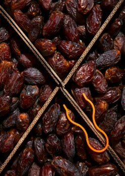 Medjool Datteln Jumbo Choice Mit Stein, KoRo 5 Kg -CEREALS HOUSE Geschaft Medjool Datteln Jumbo Choice 04