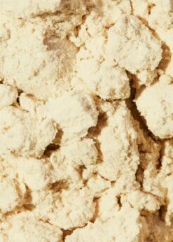 Bio Erbsenprotein 500 G