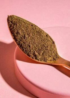 Bio Reishi Pulver 250 G