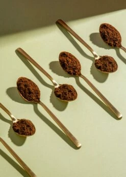 Bio Chaga Pulver 250 G 8 Bio Chaga Pulver 250 G -CEREALS HOUSE Geschaft PULVER 009 02