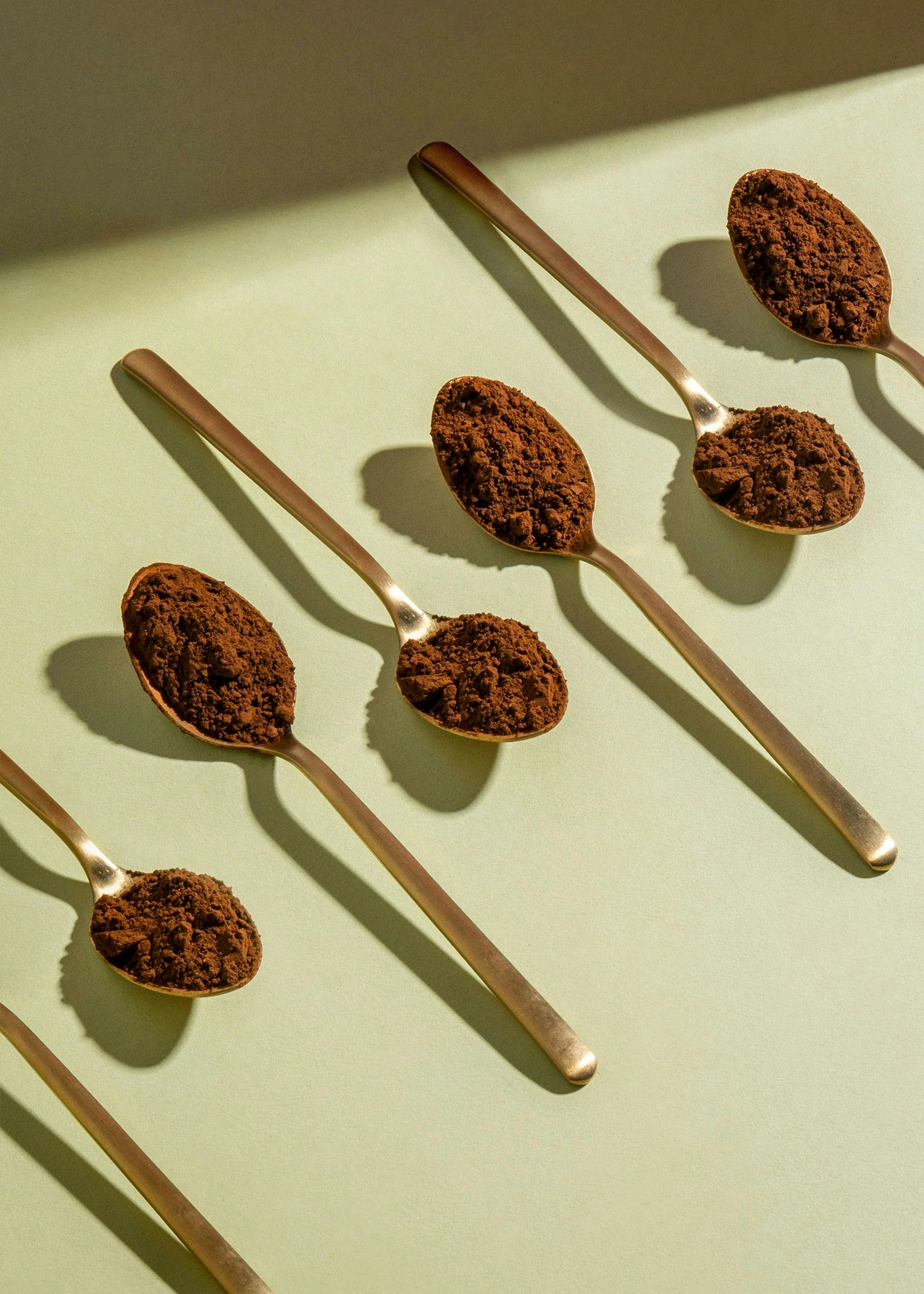 Bio Chaga Pulver 250 G 5 Bio Chaga Pulver 250 G – Bild 3