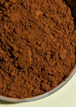 Bio Chaga Pulver 250 G