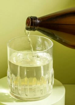 Bio Aloe Vera 100 % Direktsaft 1 L