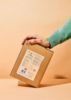 Bio Sanddorn Saft Bag-in-Box 3 L -CEREALS HOUSE Geschaft SAFT 008 01