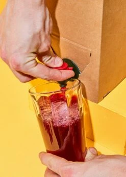 Bio Cranberry Saft Bag-in-Box 3 L