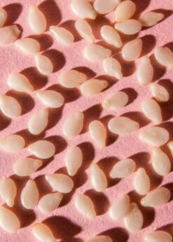 Ungeschälter Bio Sesam 1,5 Kg