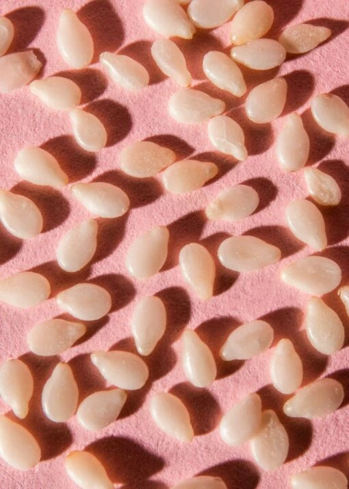 Ungeschälter Bio Sesam 1,5 Kg -CEREALS HOUSE Geschaft SESAM 001 04